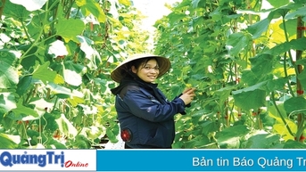 Canh tác nông nghiệp thông minh thích ứng với biến đổi khí hậu