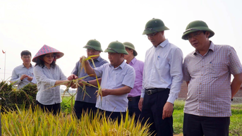 Phó Chủ tịch UBND tỉnh kiểm tra sản xuất nông nghiệp và phòng cháy chữa cháy rừng tại huyện Yên Thành