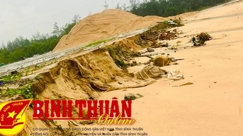 Bàn giải pháp đầu tư xây dựng công trình bảo vệ bờ biển