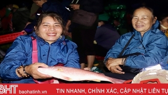 កំពង់ផែនេសាទ Con Go មានភាពអ៊ូអរនៅចុងឆ្នាំ
