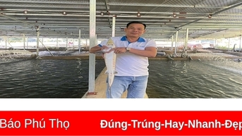 Hiệu quả mô hình nuôi cá tầm ở Trung Sơn