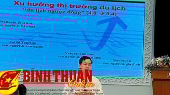 Tổ chức lớp bồi dưỡng thiết kế chương trình du lịch nông thôn