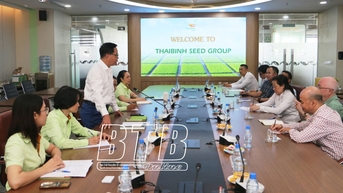 ThaiBinh Seed에서 농업의 혁신과 창의성에 대해 알아보세요.