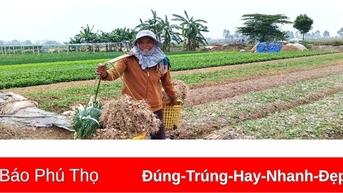 Để sản xuất vụ Xuân thắng lợi