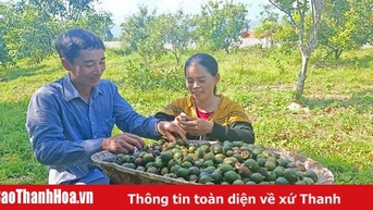 Thúc đẩy tinh thần khởi nghiệp, lập nghiệp