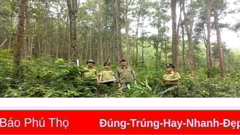Tăng cường phòng cháy, chữa cháy rừng