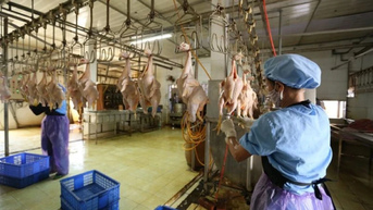 Chấn chỉnh, tăng cường công tác quản lý, kiểm soát giết mổ động vật