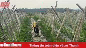 Hạn chế sử dụng thuốc bảo vệ thực vật trong sản xuất nông nghiệp