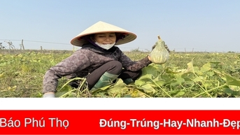 Niềm vui trên những cánh đồng vụ đông