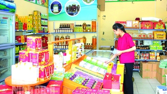 Tiếp tục triển khai kịp thời, đồng bộ các giải pháp kiểm soát lạm phát
