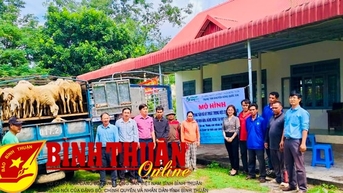 Bàn giao 77 con cừu cho đồng bào xã Hàm Cần