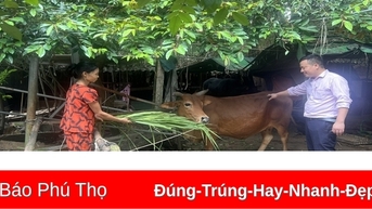 Vượt khó thoát nghèo
