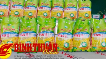 Sản xuất lúa gạo chất lượng cao theo hướng an toàn bền vững
