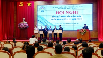 Phấn đấu thành lập mới 60 HTX trong năm 2025