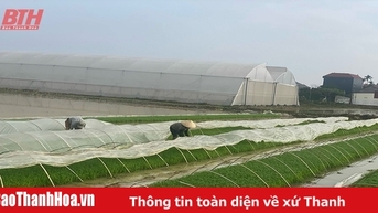 Chuẩn bị các điều kiện sản xuất lúa xuân