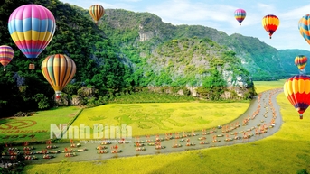 Ninh Bình tổ chức Lễ hội khinh khí cầu với sự tham gia của các phi công nước ngoài