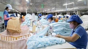 Phụ nữ Ninh Thuận học tập và làm theo Bác, góp phần vun đắp gia đình, xây dựng quê hương