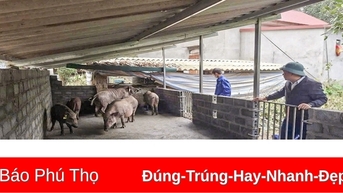 Trao con giống hỗ trợ sinh kế cho hộ nghèo