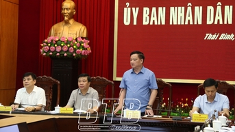 UBND tỉnh nghe báo cáo một số nội dung quan trọng