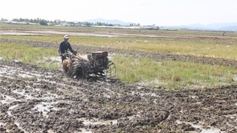 Ninh Phuoc ផ្តោតលើផលិតកម្មដំណាំឆ្នាំ 2023