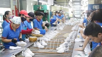 Kỳ 3: Nhiều dịch vụ hỗ trợ doanh nghiệp xuất khẩu