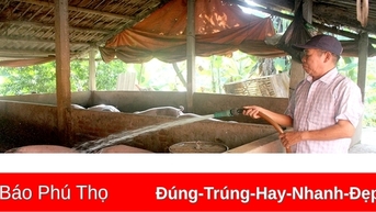 អតីតយុទ្ធជន Phu Ninh ជួយគ្នាកាត់បន្ថយភាពក្រីក្រ