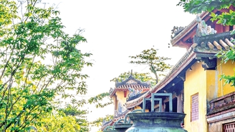 Sản vật Quảng Nam trường cửu cùng Cửu đỉnh
