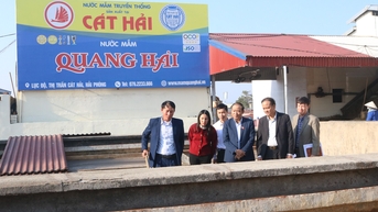 Hải Phòng có 242 sản phẩm OCOP