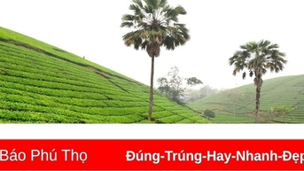 Phu Tho ទាក់ទាញគម្រោងវិនិយោគចំនួន ១៥០ ក្នុងវិស័យកសិកម្ម