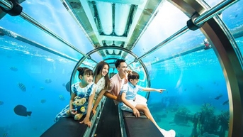 Gia hạn thời gian thí điểm hoạt động dịch vụ tàu lặn tại vịnh Nha Trang