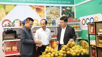 Kích cầu tiêu dùng nội địa