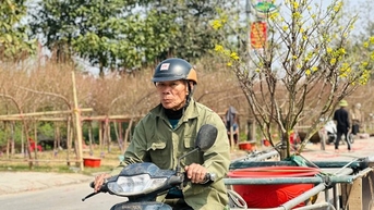 Nghề 'chở Tết' đến mọi nhà kiếm tiền triệu mỗi ngày