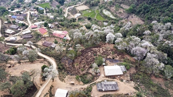 រុករក​ព្រៃ​ហាមឃាត់​បុរាណ​នៃ​ណាំគឹម