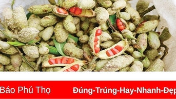 Mùa dổi chín