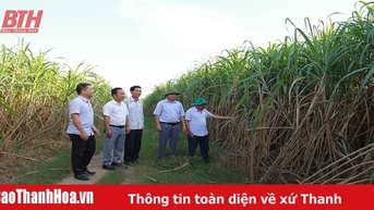 Nông dân miền ngược thi đua sản xuất, kinh doanh giỏi