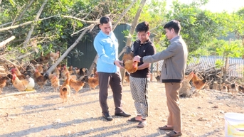Tập trung sản xuất hàng hóa cuối năm