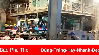Supe Lâm Thao bứt phá mạnh mẽ, vượt mục tiêu đề ra