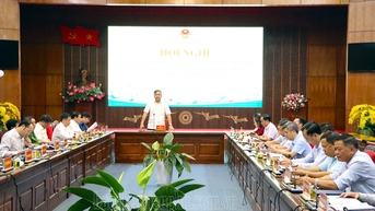 Khắc phục khó khăn, đẩy nhanh tiến độ các dự án trồng mắc ca