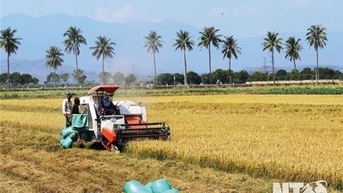 Ngành Nông nghiệp: Phấn đấu cả năm đạt tăng trưởng từ 4-5%