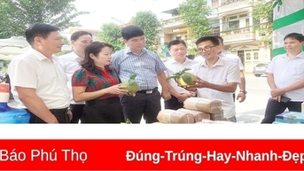 Nâng cao hiệu quả hoạt động Hội Nông dân các cấp