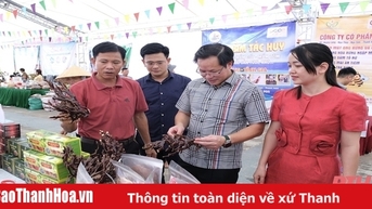 ការបើកពិព័រណ៍អាហារសុវត្ថិភាពឆ្នាំ 2024 នៅស្រុក Hoang Hoa