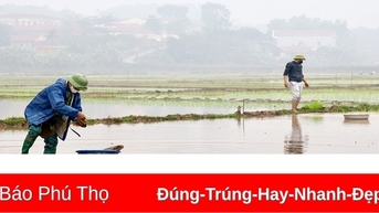 Màu xanh trở lại nơi cơn lũ đi qua