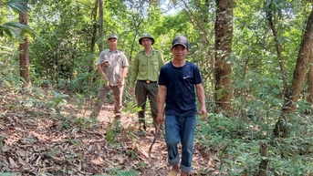 ដើម្បី​ជួយ​មនុស្ស​ឱ្យ​កាន់​តែ​ជាប់​នឹង​ព្រៃ