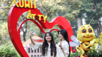 Đi hơn 40km để check-in hội hoa xuân ở TPHCM trong ngày đầu mở cửa