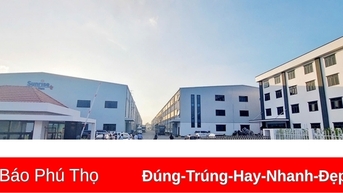 Phạt 180 triệu đồng công ty khiến hơn 100 công nhân ngộ độc