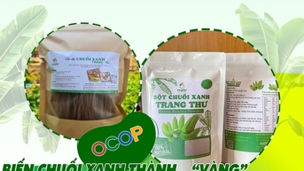 Hành trình kinh tế bền vững từ thôn Kẻ Đọng