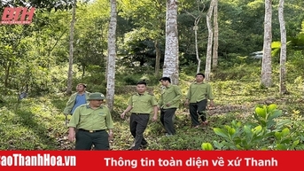 Quản lý, bảo vệ rừng bền vững ở Thường Xuân