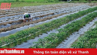 ភាពចម្រុះនៃដំណាំរដូវរងា