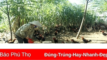 Xây dựng nền nông nghiệp an toàn, bền vững