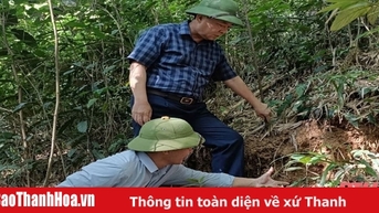 Xuất hiện vết nứt ngang đồi, huyện Như Thanh khẩn cấp di dời các hộ dân